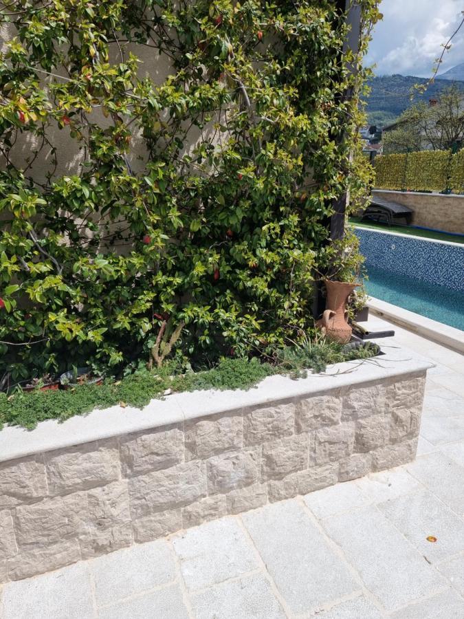Villa With Pool & Garden Apartment 1 Ognjen Tivat Exterior foto